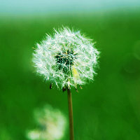 ☆黙鉐☆ 报名时间:2025-02-21 20:23 ☆黙鉐☆ 报名时间:2025-02-21 20:23